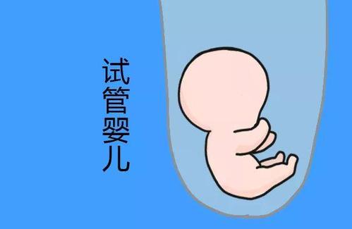 靠谱拉拉借卵咨询门诊